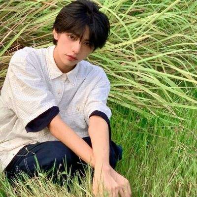 仙谕果盘版下载